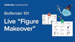 BioRender Learning Hub Live quotFigure Makeoverquot [upl. by Sirc]