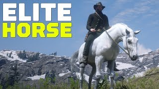 How To Get All 5 Arabian Horses In Red Dead Redemption 2 Spoilers [upl. by Cullen]