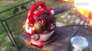 How to repair Sears Poulan leaf blower that wont start [upl. by Annelise]