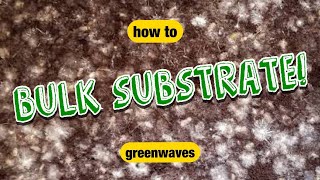 Cheap amp Easy Bulk Substrate Method Coco Coir  Vermiculite [upl. by Arvy]