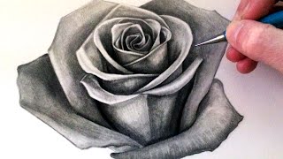 How to Draw a Rose [upl. by Dieball]