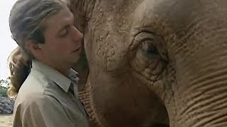 How Smart are Elephants  The Zoo Keepers  BBC Earth [upl. by Edwin302]