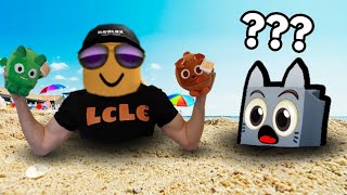 Pet Simulator X BUT at the BEACH [upl. by Ilbert]