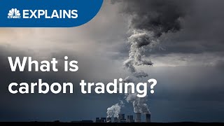 What is carbon trading  CNBC International [upl. by Dow471]