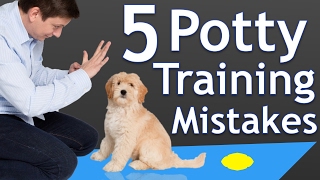 The 5 Most Common Potty Training Mistakes [upl. by Sekyere]