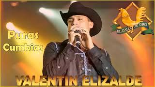 Valentin Elizalde Puras Cumbias  20 Mejor Exitos [upl. by Soracco538]