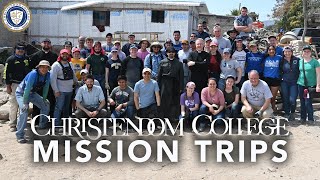 Christendom College Mission Trips [upl. by Ches]