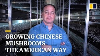 The American teaching China how to grow mushrooms [upl. by Pfeifer54]