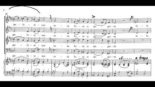 Ave verum corpus Mozart  Bass practice [upl. by Louls781]