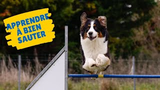 TUTO AGILITY lexercice indispensable pour bien sauter [upl. by Baten]