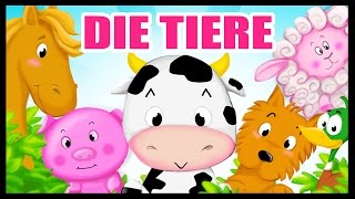 Die Tiere auf deutsch lernen  German Vocabulary  Titounis [upl. by Ihculo]