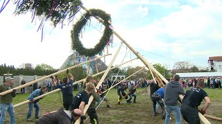 Maibaum aufstellen in Oeynhausen [upl. by Ardnoed]