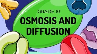 Diffusion and Osmosis [upl. by Euqinimod]