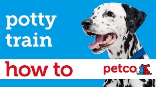 How to Potty Train Your Puppy Petco [upl. by Weidner]