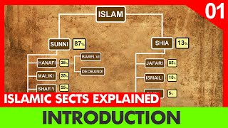 Introduction Islam sects explained  Episode 1  Division of Shia and Sunni  InQuisitive Insight [upl. by Amal974]