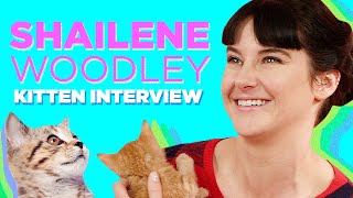 Shailene Woodley Plays With Kittens While Answering Fan Questions [upl. by Encratis]