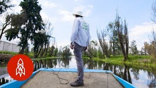 Fighting to Keep Mexico’s Floating Farms Alive [upl. by Tobi]