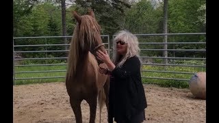 Nina Blackwood on The 80s Cruise 2020 [upl. by Adekan]