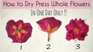 How to Dry amp Press Rose Flowers Quickly  DIY Preserved Flowers  Dried flowers Art [upl. by Ailis]