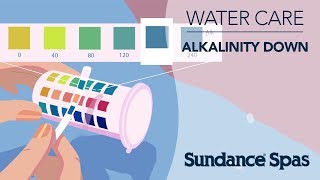 How to Lower Your Water Alkalinity [upl. by Ynwat]