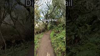 DIPSEA TRAIL HEAD TAMALPAIS [upl. by Pejsach]