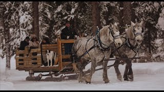 Sleigh Ride Dinner at Lone Mountain Ranch [upl. by Cyler836]