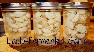 Fermenting Garlic [upl. by Afatsuom434]