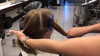 How We Section for Balayage [upl. by Eanar]