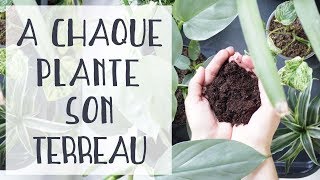 🌿 Quel terreau pour quelles plantes dintérieur [upl. by Ahsinut]