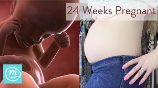 24 Weeks Pregnant What You Need To Know  Channel Mum [upl. by Asila742]