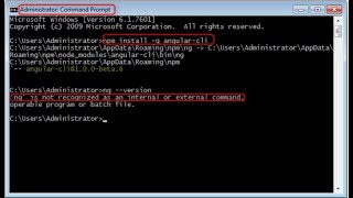 Fix  ng is not recognized as an internal or external command [upl. by Madson]