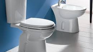 Perdite di ACQUA dallo SCARICO WC e sostituzione GALLEGGIANTEHow to fix FLUSHING TOILET problems [upl. by Maxwell]