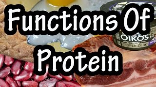 Functions Of Protein In The Body  How The Body Uses Proteins  Importance Of Protein [upl. by Portie]