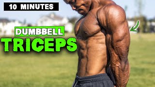 10 MINUTE LIGHTWEIGHT DUMBBELL TRICEP WORKOUT [upl. by Lana528]