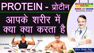 प्रोटीन आपके शरीर में क्या क्या करता है  WHAT PROTEIN DOES FOR YOUR BODY [upl. by Leviralc]