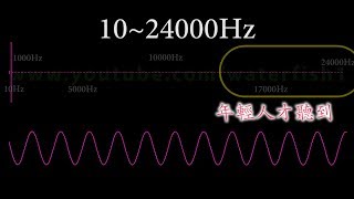 聽力測試，音響頻率響應測試音頻 10Hz24000Hz Sine Wave Sound Frequency Tone [upl. by Anrapa]