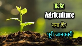 What is BSc Agriculture With Full Information – Hindi – Quick Support [upl. by Callida144]