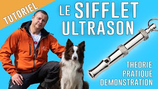 Comment UTILISER un SIFFLET ULTRASON pour CHIEN [upl. by Nehemiah]