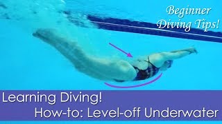 Beginner Learning Diving Howto Leveloff Underwater [upl. by Eetnwahs]