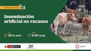 Inseminación artificial en vacunos [upl. by Emixam]