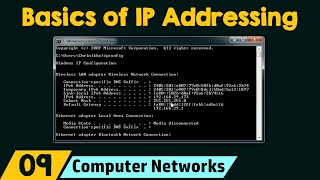 Basics of IP Addressing [upl. by Nnaul]