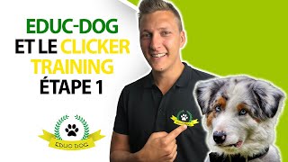 Comment utiliser CORRECTEMENT le Clicker Training  Vidéo 12 [upl. by Aseral]