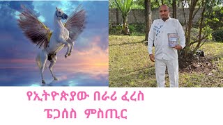 የኢትዮጵያው በራሪ ፈረስ ፔጋሰስ በሰማይ ላይ [upl. by Teodor]