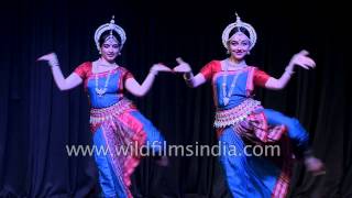 Indian girls perform Odissi dance in Delhi [upl. by Aitnuahs688]