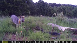 2 Ecosystems Producers Consumers Decomposers [upl. by Cooke728]