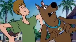 Every quotZoinksquot in The New Scooby and ScrappyDoo Show 1983 [upl. by Eves886]