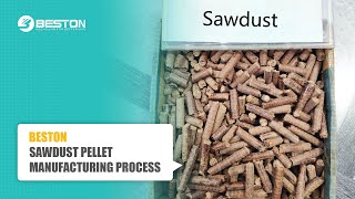 Sawdust Pellet Manufacturing Process  Sawdust Pellet Machine 13 TH sawdustpellet pelletmachine [upl. by Eizus]