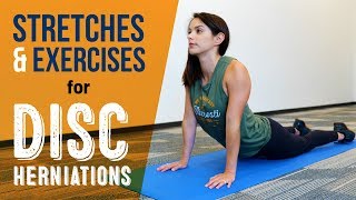 Exercises amp Stretches for Disc Herniations [upl. by Yraek685]