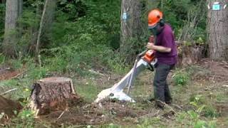 Alpine Magnum Portable Stump Grinder [upl. by Gretel483]