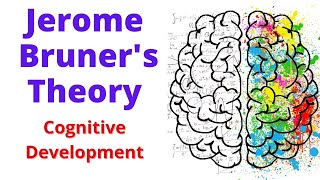 BRUNER Theory Of Cognitive Development  cognitive development theory by bruner [upl. by Dolf]